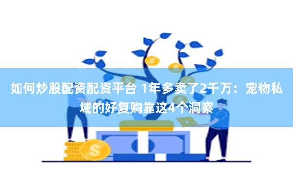 如何炒股配资配资平台 1年多卖了2千万：宠物私域的好复购靠这4个洞察