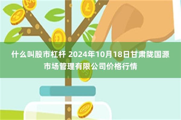 什么叫股市杠杆 2024年10月18日甘肃陇国源市场管理有限公司价格行情