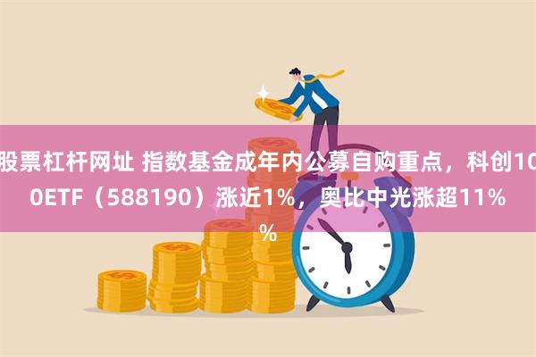 股票杠杆网址 指数基金成年内公募自购重点，科创100ETF（588190）涨近1%，奥比中光涨超11%