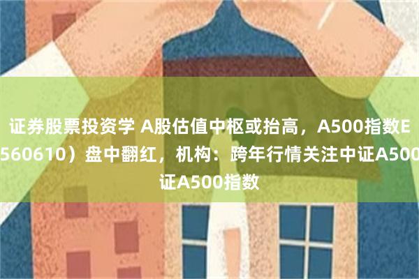 证券股票投资学 A股估值中枢或抬高，A500指数ETF（560610）盘中翻红，机构：跨年行情关注中证A500指数