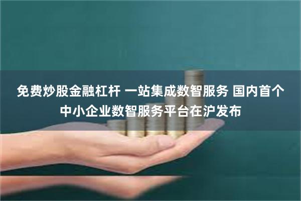 免费炒股金融杠杆 一站集成数智服务 国内首个中小企业数智服务平台在沪发布