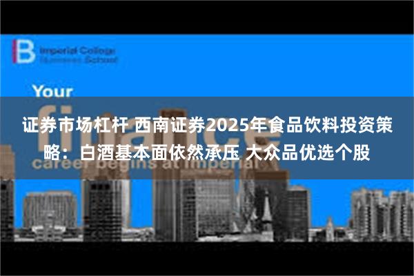 证券市场杠杆 西南证券2025年食品饮料投资策略：白酒基本面依然承压 大众品优选个股