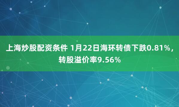 上海炒股配资条件 1月22日海环转债下跌0.81%，转股溢价率9.56%