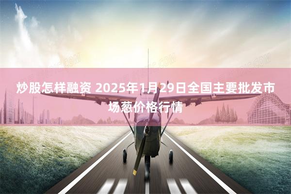 炒股怎样融资 2025年1月29日全国主要批发市场葱价格行情