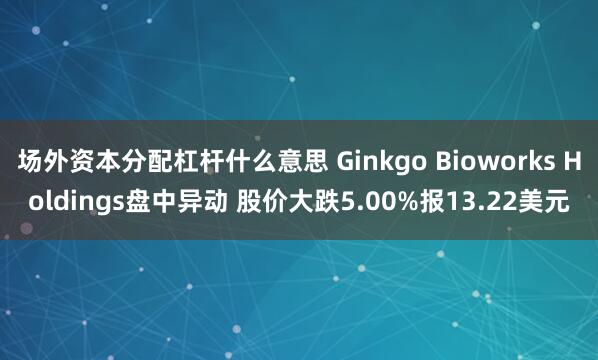 场外资本分配杠杆什么意思 Ginkgo Bioworks Holdings盘中异动 股价大跌5.00%报13.22美元