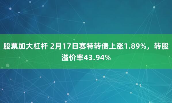 股票加大杠杆 2月17日赛特转债上涨1.89%，转股溢价率43.94%