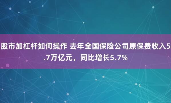 股市加杠杆如何操作 去年全国保险公司原保费收入5.7万亿元，同比增长5.7%