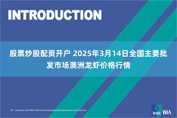 股票炒股配资开户 2025年3月14日全国主要批发市场澳洲龙虾价格行情