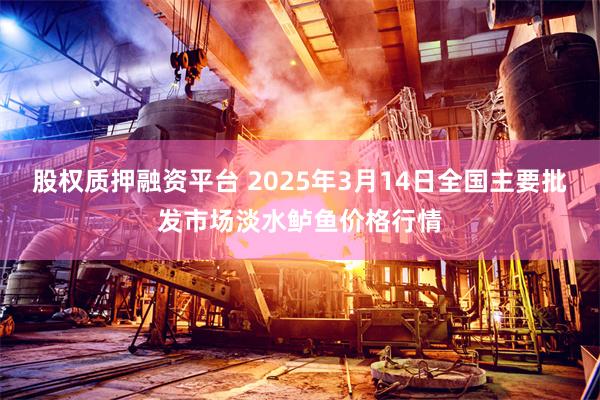 股权质押融资平台 2025年3月14日全国主要批发市场淡水鲈鱼价格行情